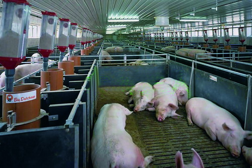 �����ڲ�