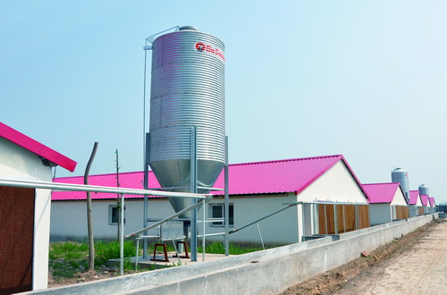 �Զ�������