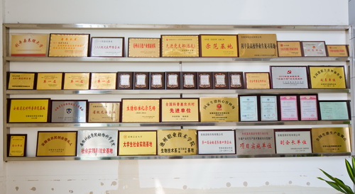 ������ҵ����