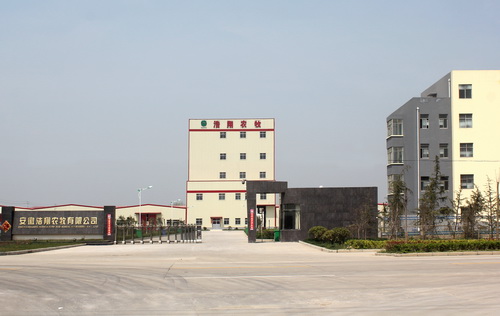 �������20������ϳ�