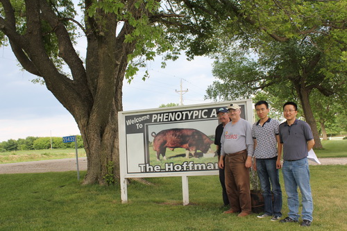 ���Ƿɿ���Hoffman����ԭ����