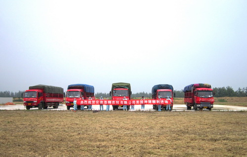 2012����������ԭ����˳����פ����