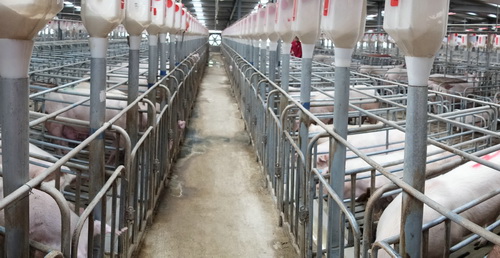 ��׼����λ����