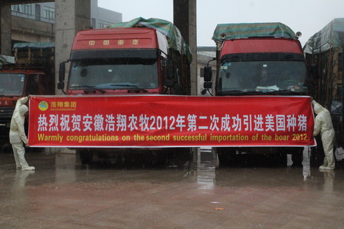 �ڶ��γɹ���������