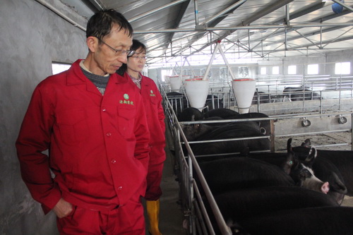 ��ΰ�������ֳ�ָ��