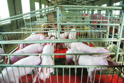 �����ĺ���