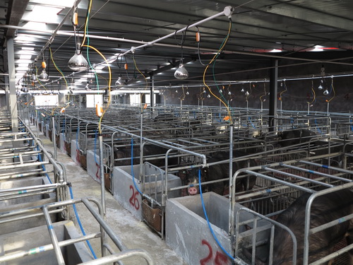 �Ϳ�����