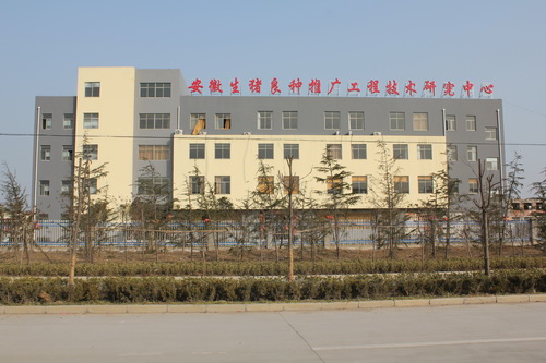 �����������о�����