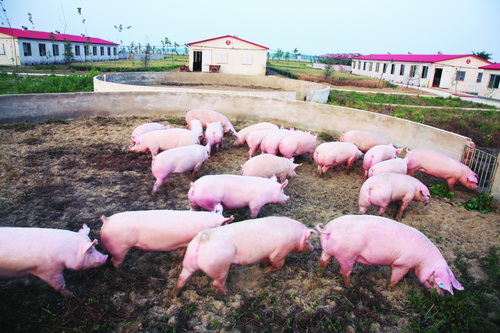 ��������Ȼ�˶���Ȧ