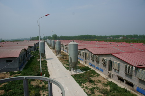 �Զ�����ϵͳ