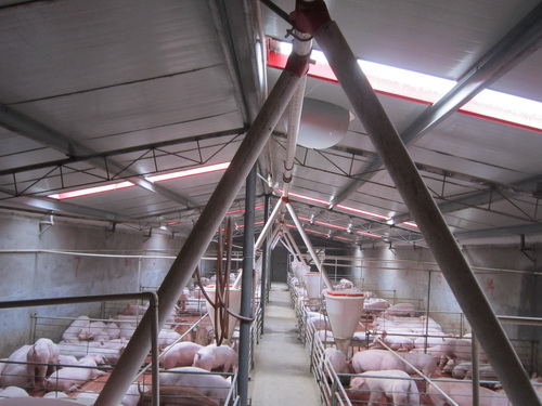 ���������ڲ���Ƭ