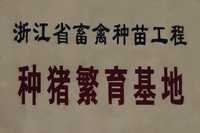 �㽭ʡ�������繤������������