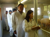 ���ڿ�������