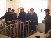 ��������ר����������