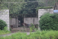 ���ϳ����