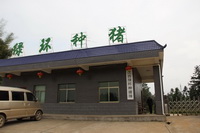 �޹���ʾ��������