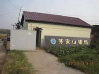 ��¥������̬԰����