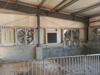 ����С��