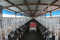 ����С��