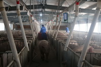 ˮ������ϵͳ