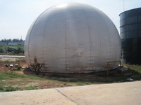 �޺����������¯