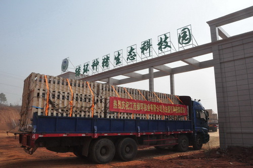 ��ֻ˳����԰