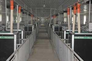 ���Ǳ������������ܲⶨϵͳ