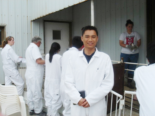 ����ѡ��