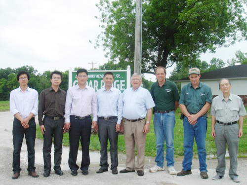 ����ѡ��