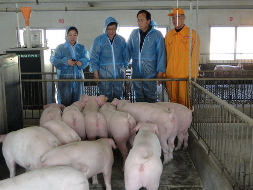 �������о�Ա����ָ��