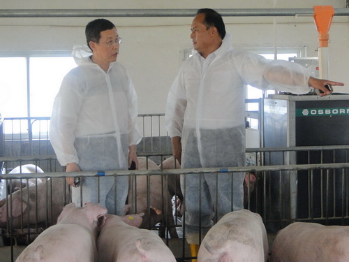 ��������ڵ���ָ��