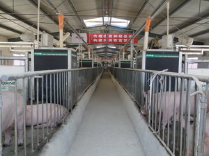 ��˹��FIRE����������ⶨ�豸