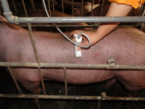 ���ۼ����