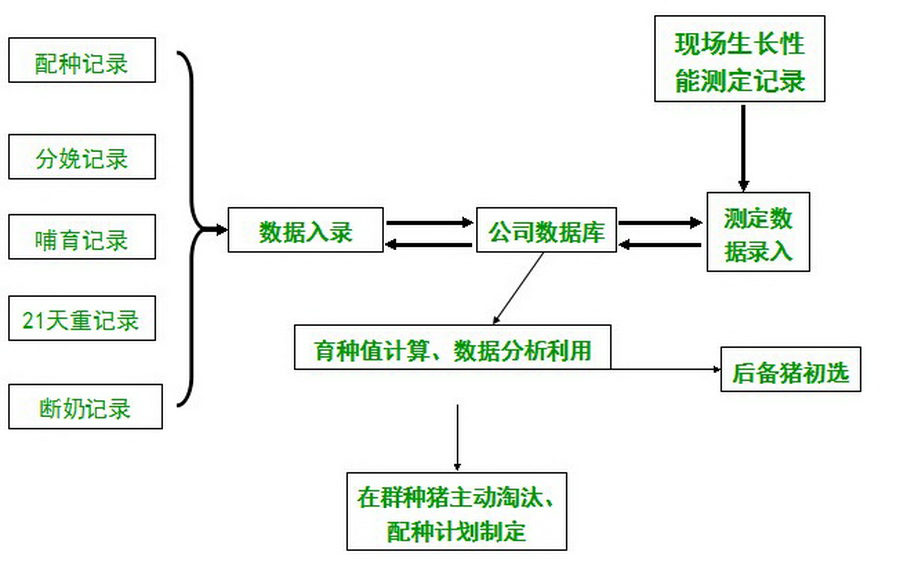 ���������ռ��������������