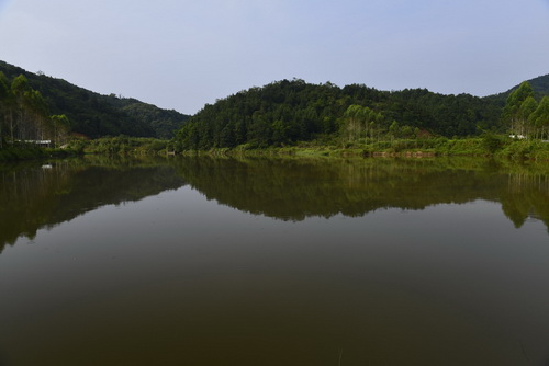 �·����ԭ������֮��