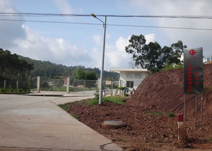 ��˾�Ÿڡ�������