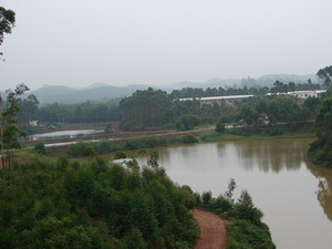 ����������