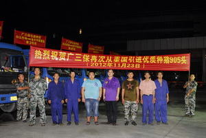 ���ƻ����ӻ�