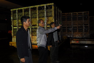 ���ƻ����ӻ�