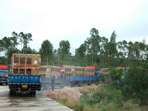 ������ж��