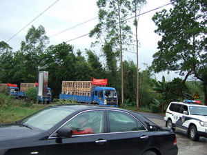 ������ж��