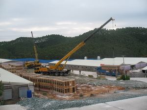 ������ж��