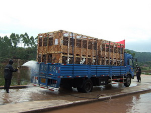 ������ж��