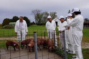 ������ѡ����