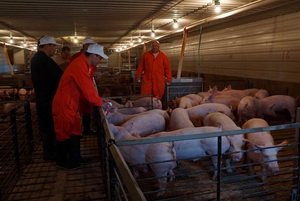 ������ѡ����