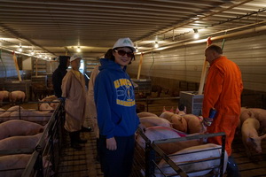 ������ѡ����