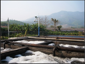 ��ˮ����