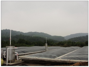 ��������վ