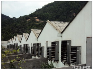 �������⾰