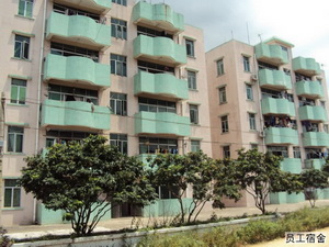 Ա������